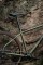 BT_MY24_Beyond_2_details5.jpg