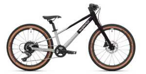 Rower dziecięcy Superior TEAM 20 gloss brushed alu/black